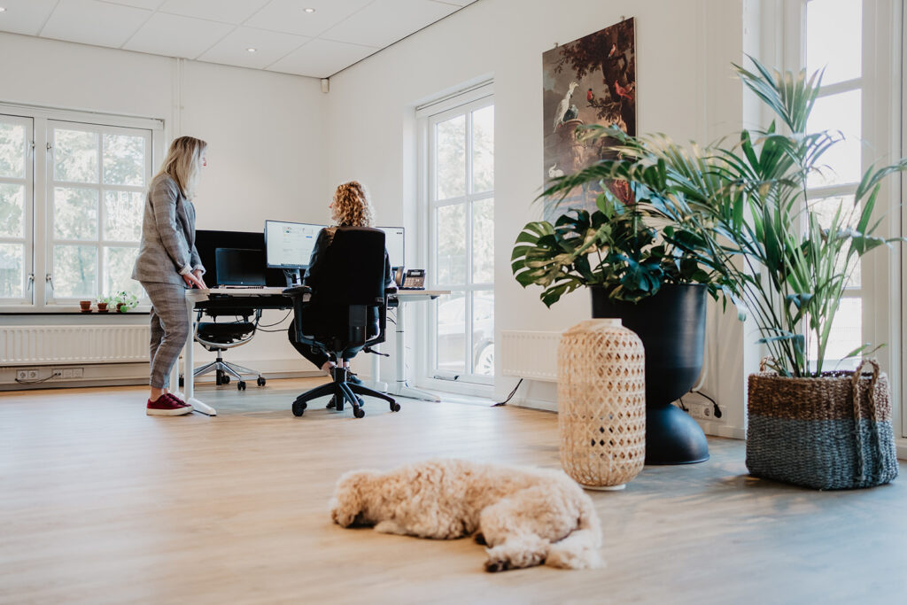 Verlenging van onze recruitment services bij DPD